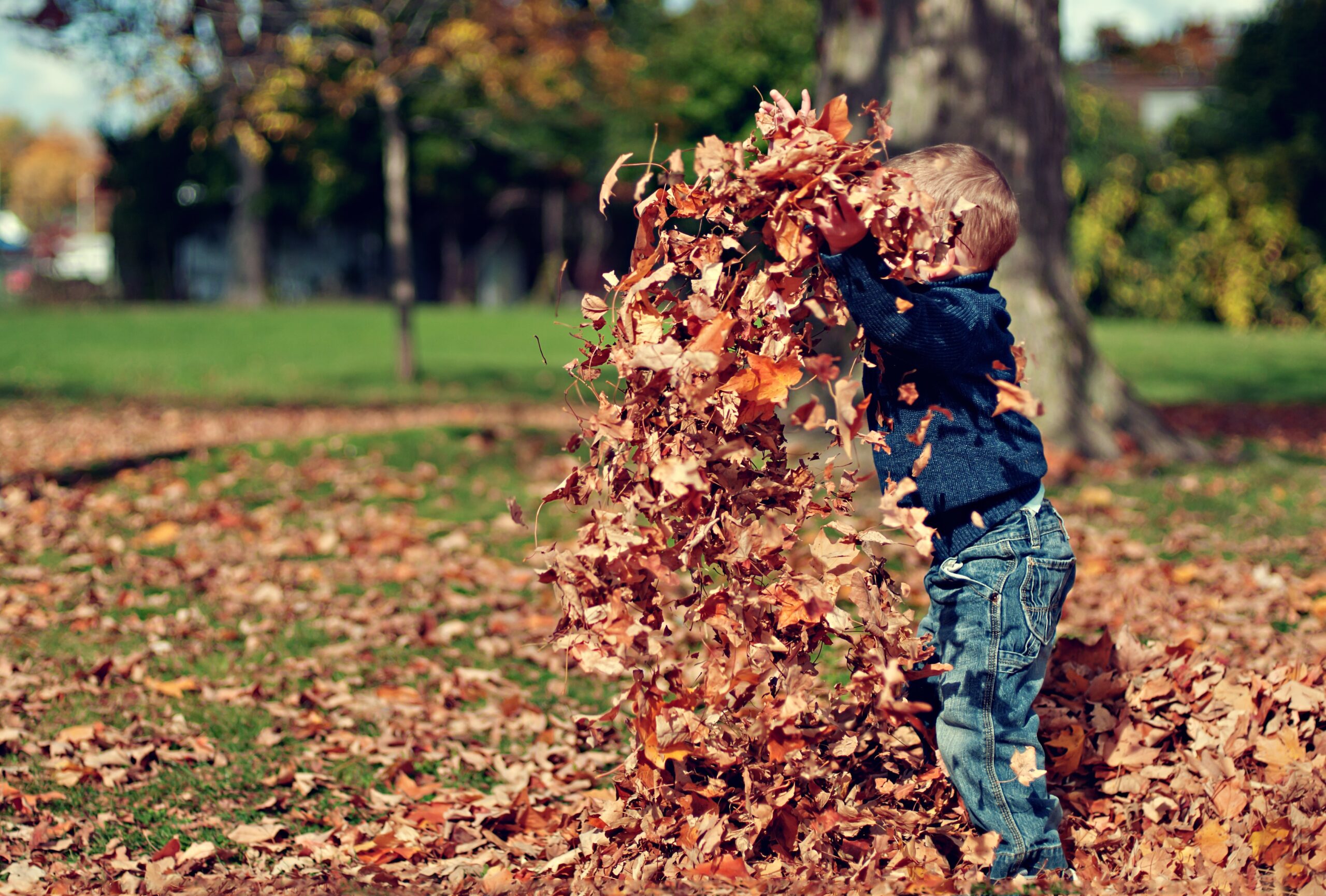 boy playing in fall leaves - seasonal activities