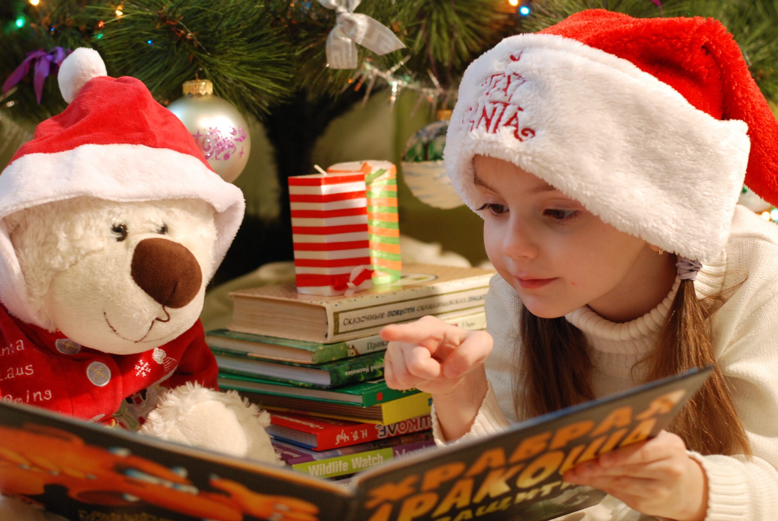 girl and bear in holiday hats reading a book