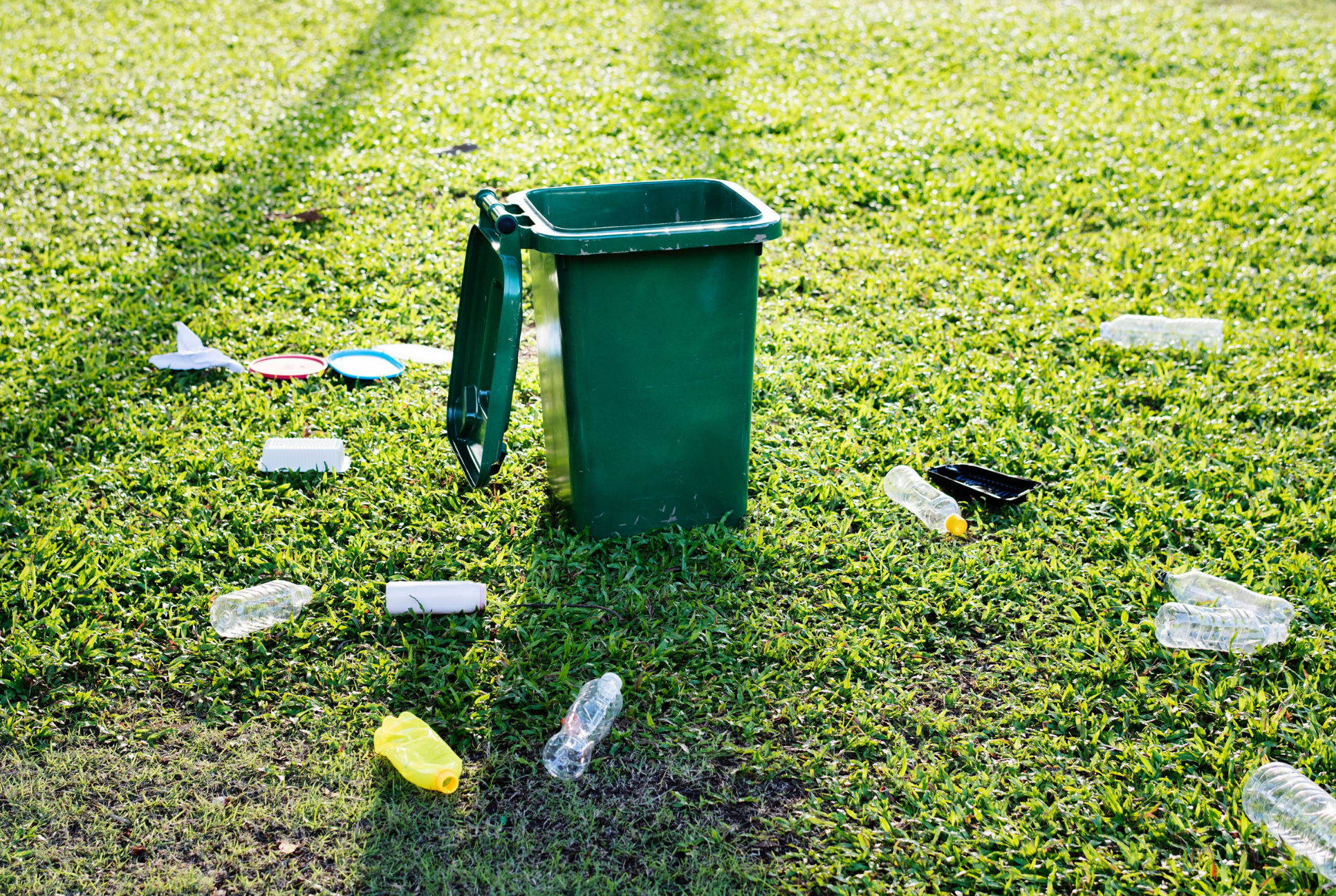 recycle bin and recyclables in grass around bin