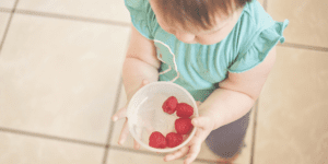 small child in a teal shirt holding a white bowl of red raspberries back to school lunches your kids will eat