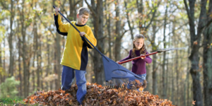 two kids raking leaves with blue rakes