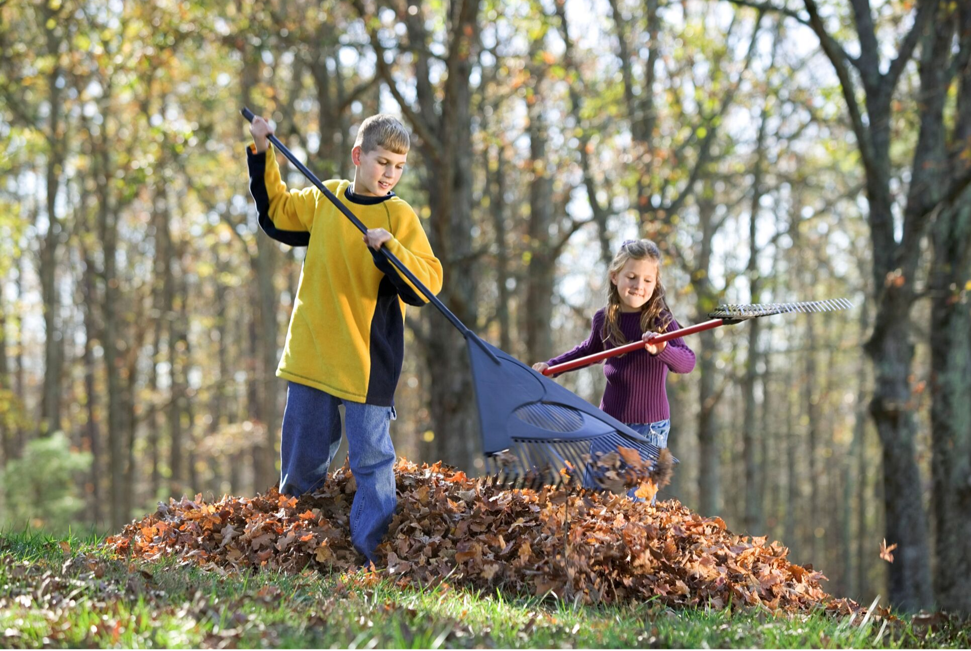 two kids raking leaves with blue rakes