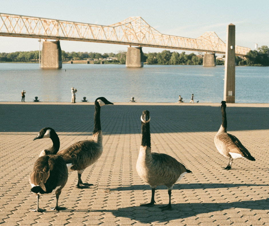 5 Cincinnati Day Trips the Whole Family Will Love